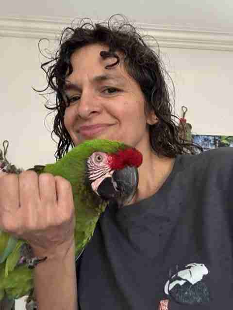 Parrot at the Blissful Sanctuary