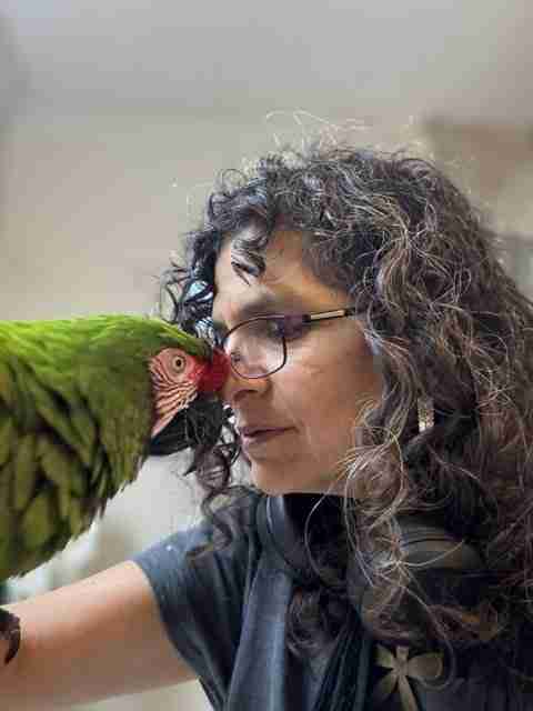Parrot at the Blissful Sanctuary