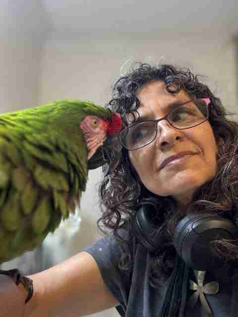 Parrot at the Blissful Sanctuary