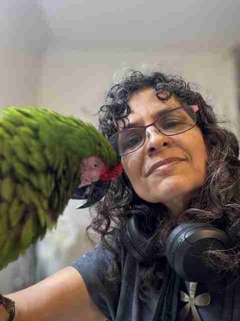 Parrot at the Blissful Sanctuary