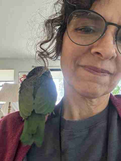 Parrot at the Blissful Sanctuary