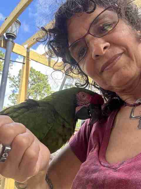 Parrot at the Blissful Sanctuary