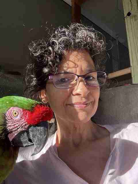 Parrot at the Blissful Sanctuary