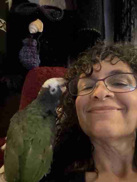 Parrot at the Blissful Sanctuary