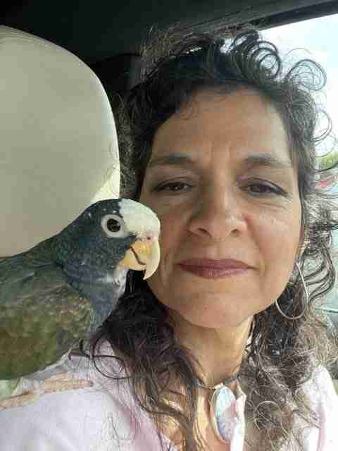 Parrot at the Blissful Sanctuary