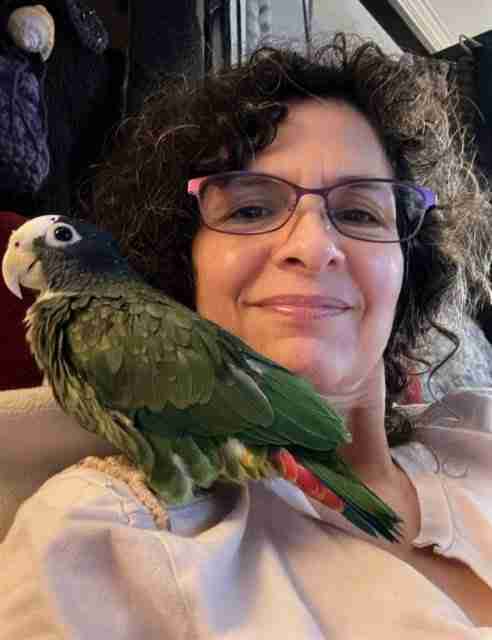 Parrot at the Blissful Sanctuary