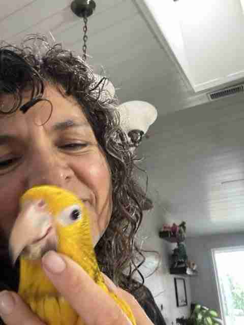Parrot at the Blissful Sanctuary