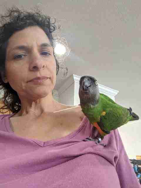 Parrot at the Blissful Sanctuary