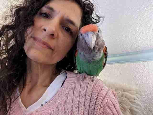 Parrot at the Blissful Sanctuary
