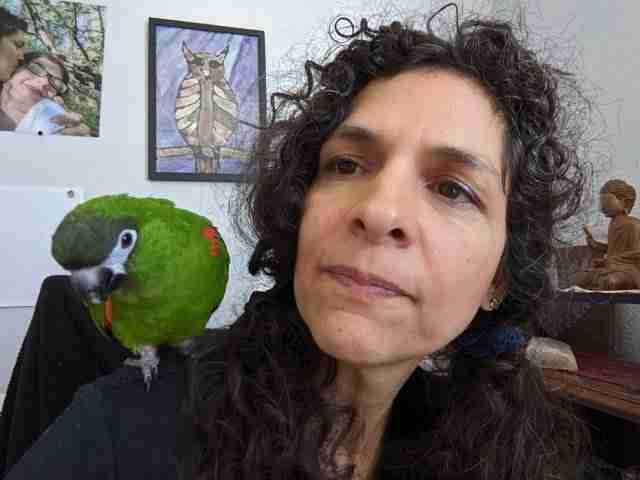 Parrot at the Blissful Sanctuary