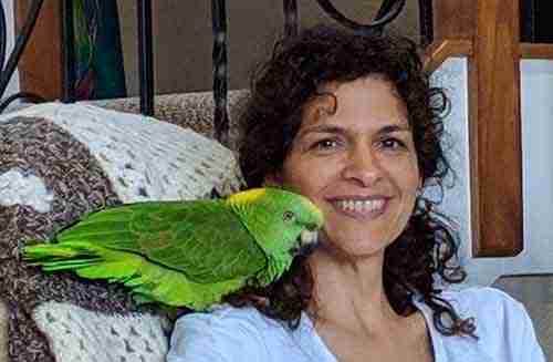 Parrot at the Blissful Sanctuary