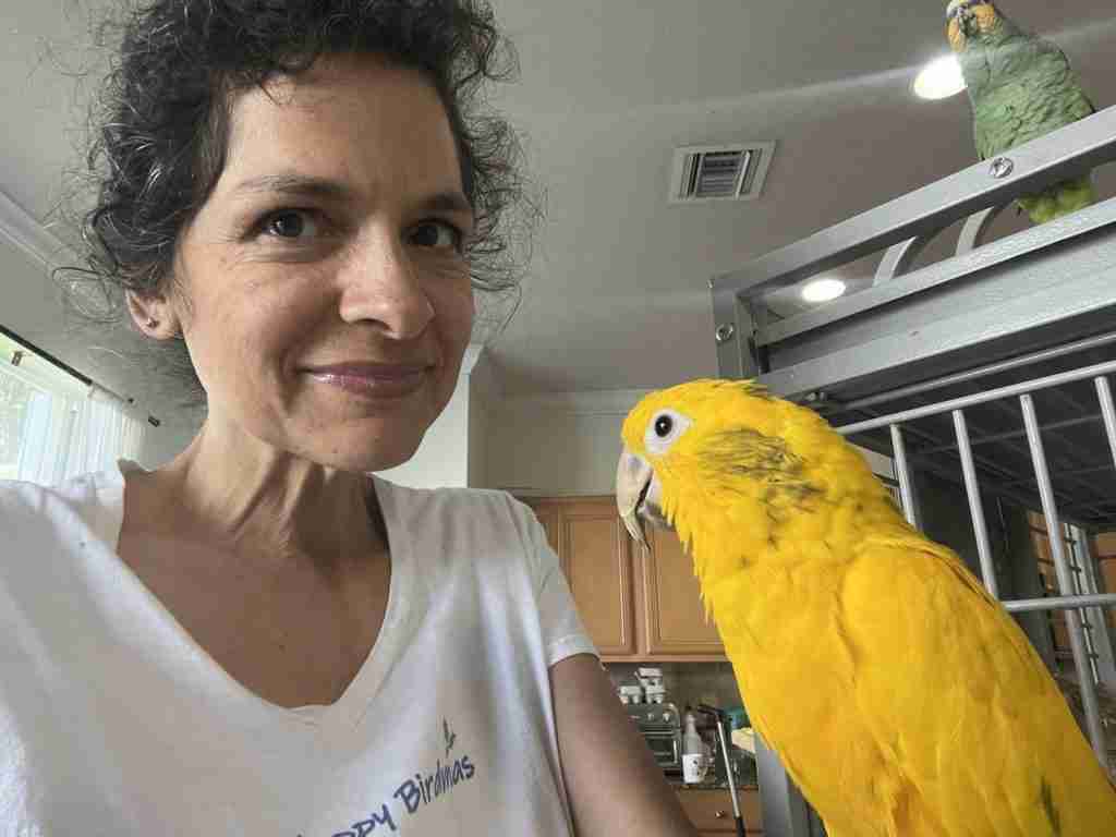 Parrot at the Blissful Sanctuary