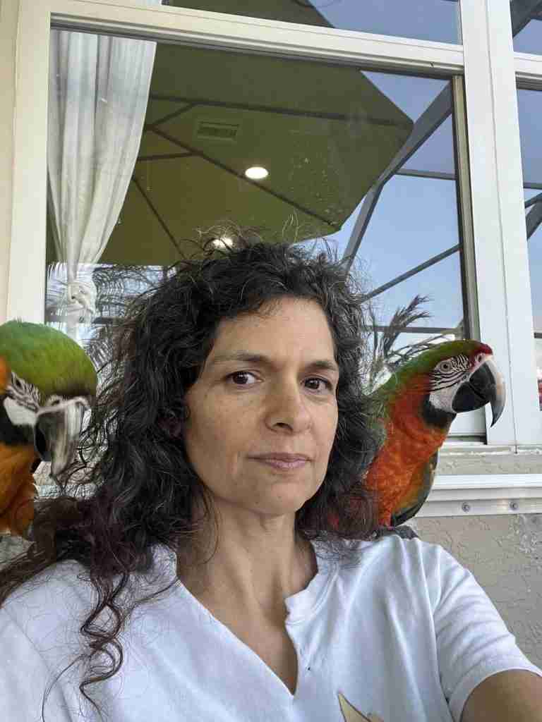 Parrot at the Blissful Sanctuary
