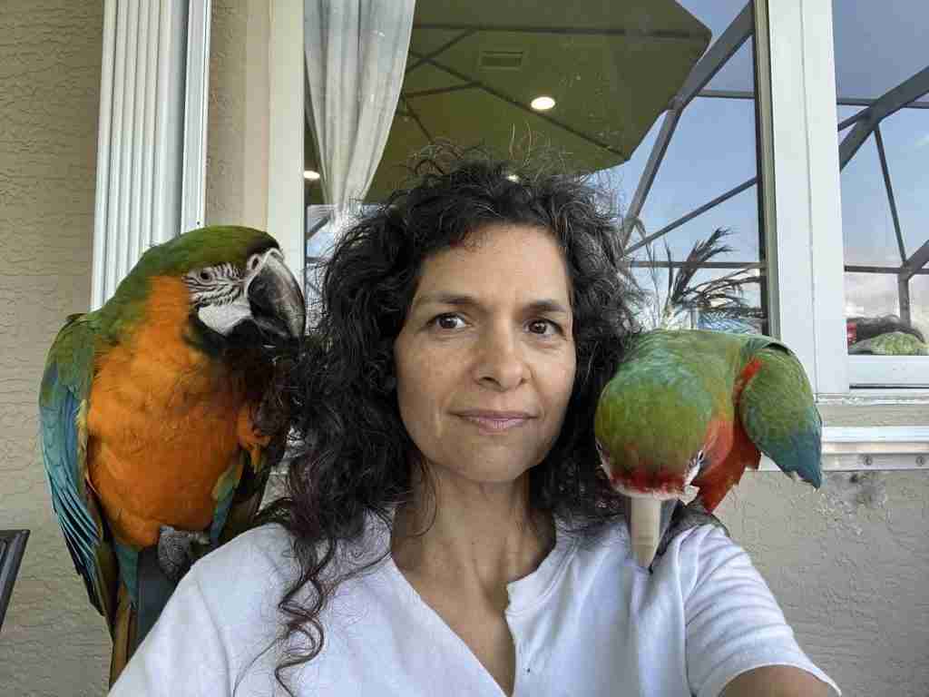 Parrot at the Blissful Sanctuary