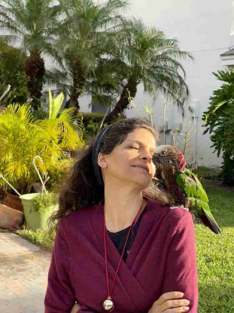 Parrot at the Blissful Sanctuary