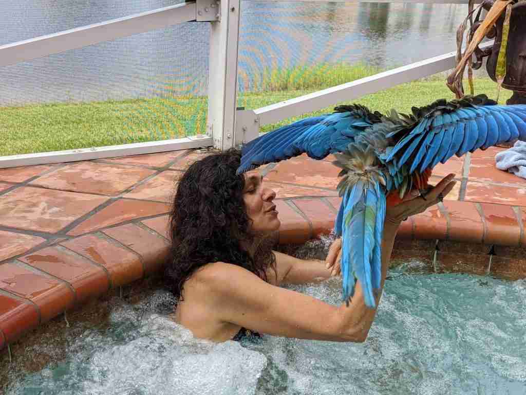 Parrot at the Blissful Sanctuary