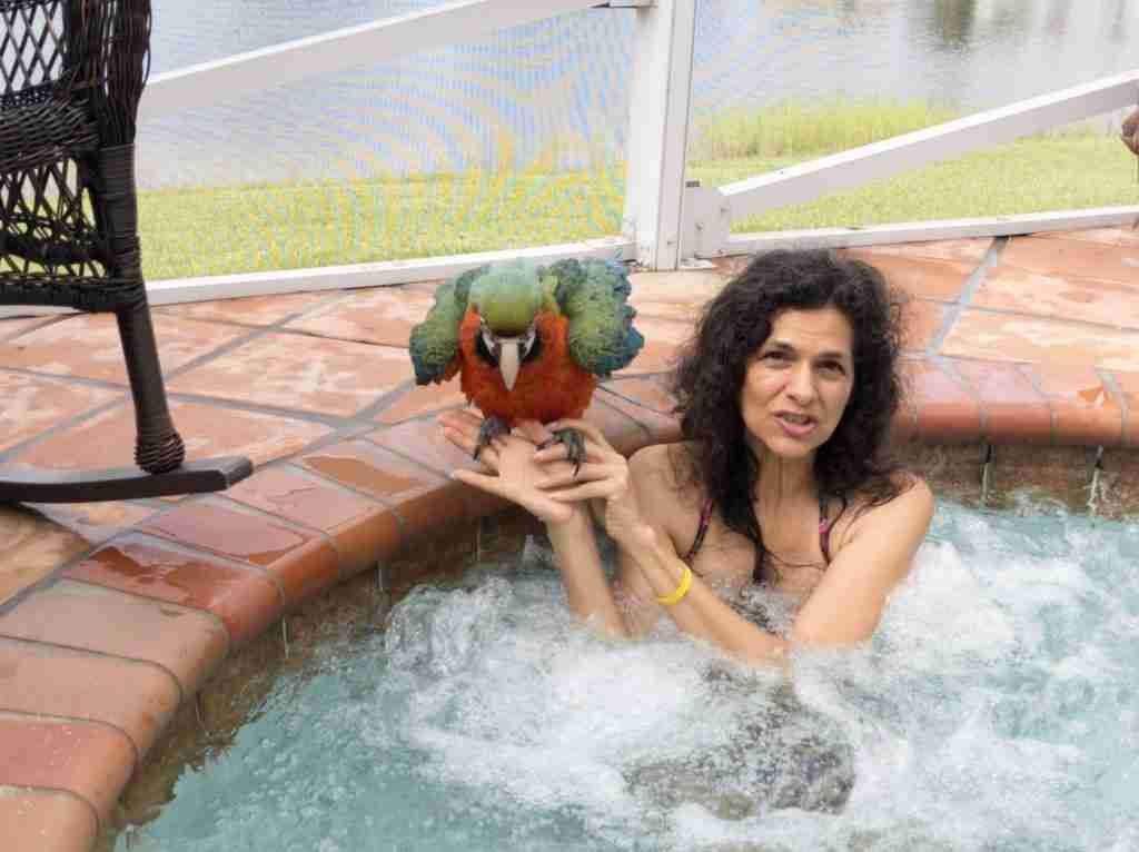 Parrot at the Blissful Sanctuary