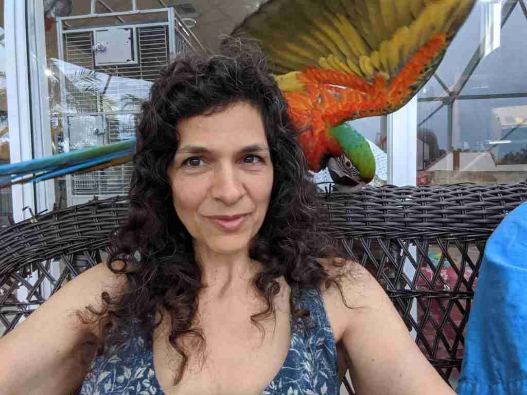 Parrot at the Blissful Sanctuary