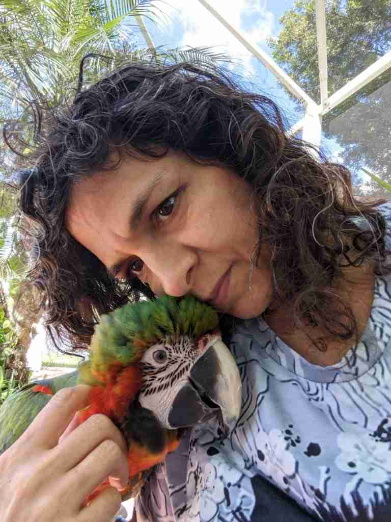 Parrot at the Blissful Sanctuary