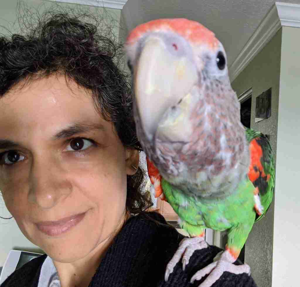 Parrot at the Blissful Sanctuary