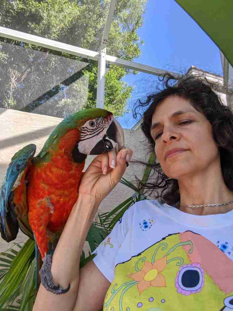 Parrot at the Blissful Sanctuary
