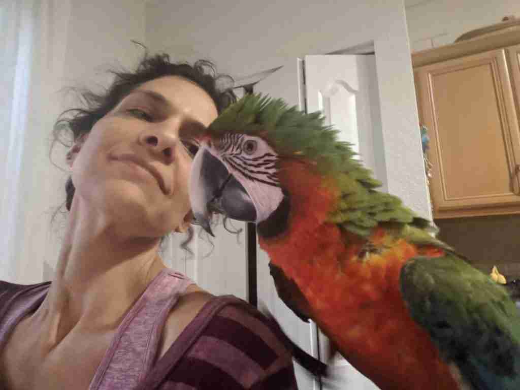 Parrot at the Blissful Sanctuary