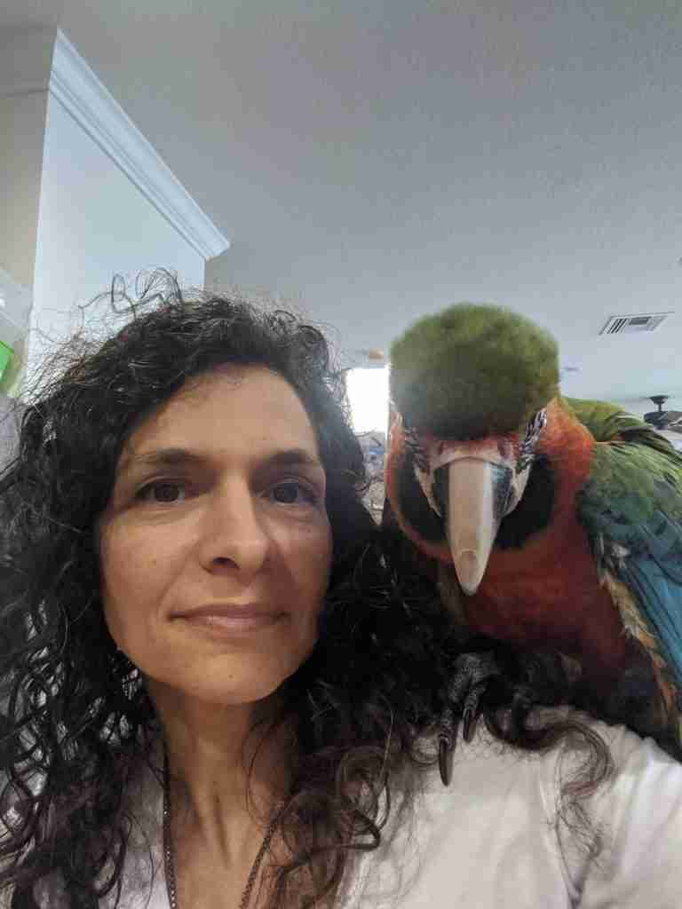 Parrot at the Blissful Sanctuary