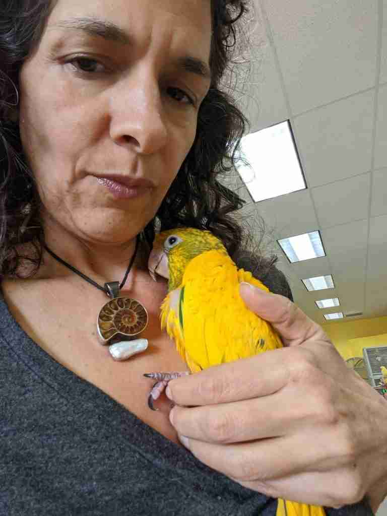 Parrot at the Blissful Sanctuary