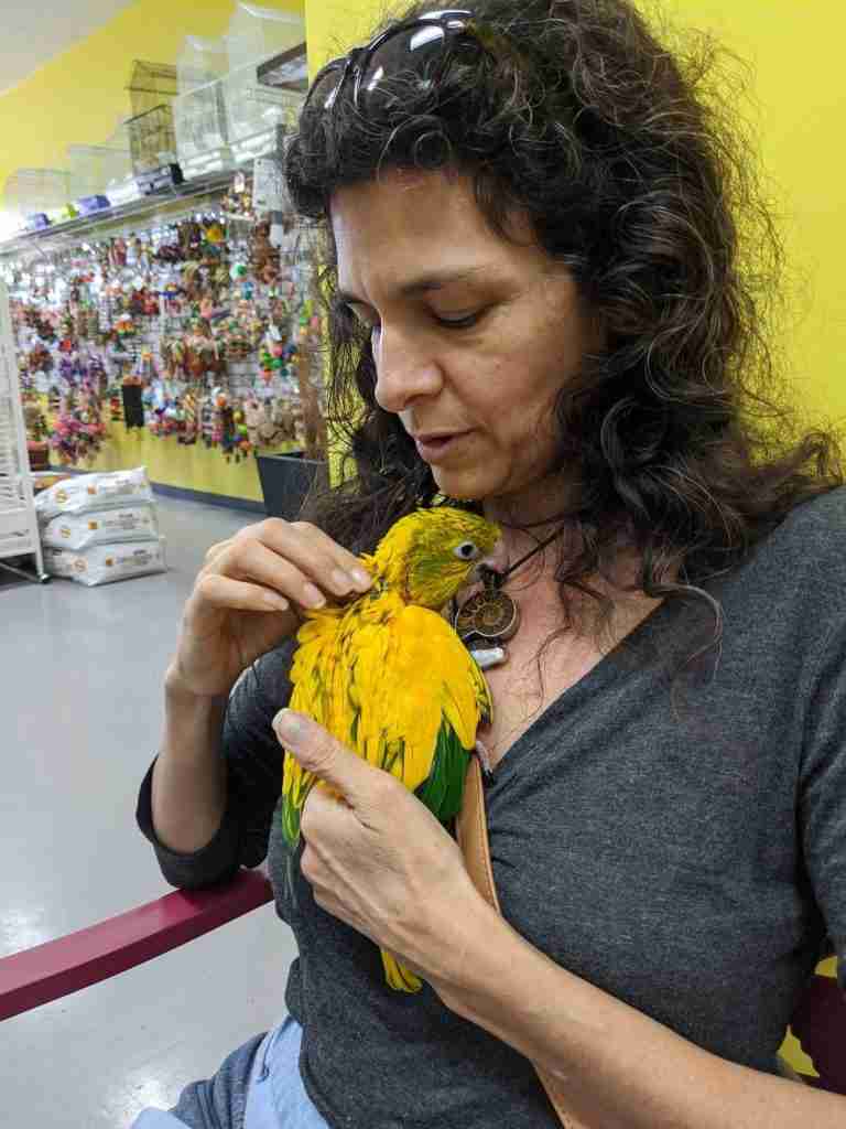 Parrot at the Blissful Sanctuary