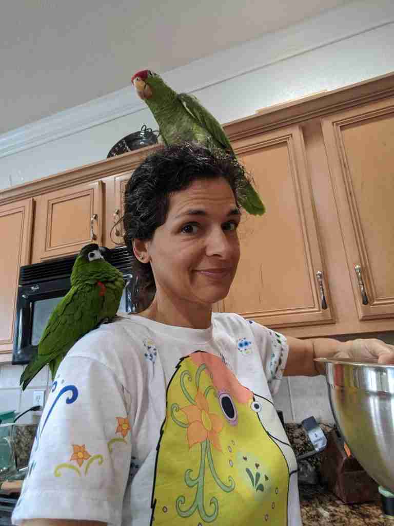 Parrot at the Blissful Sanctuary