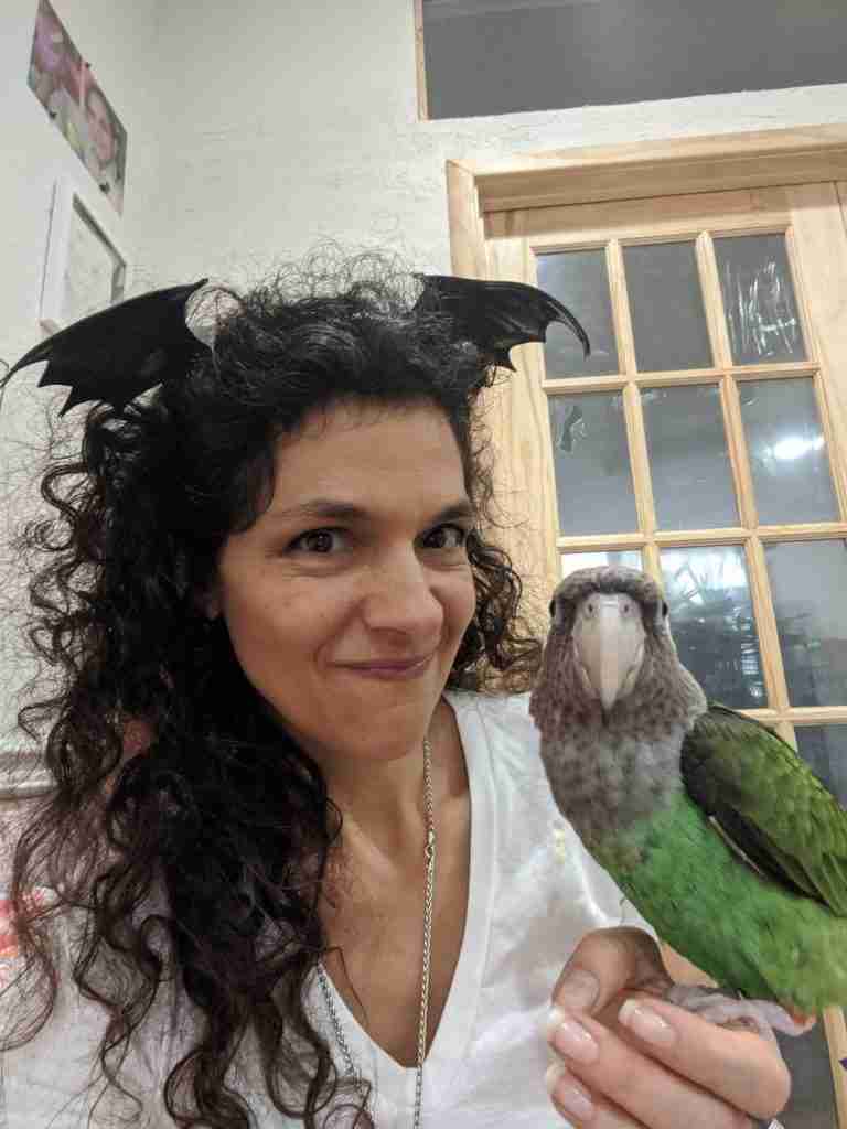 Parrot at the Blissful Sanctuary