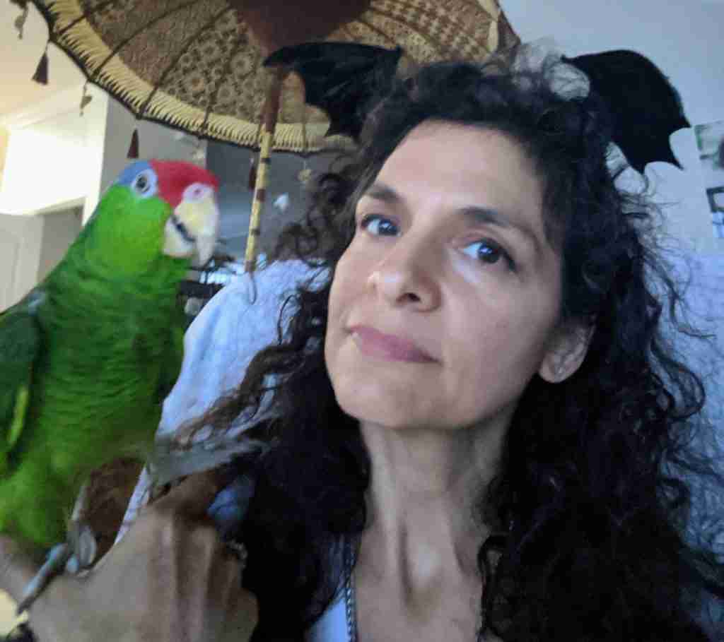 Parrot at the Blissful Sanctuary