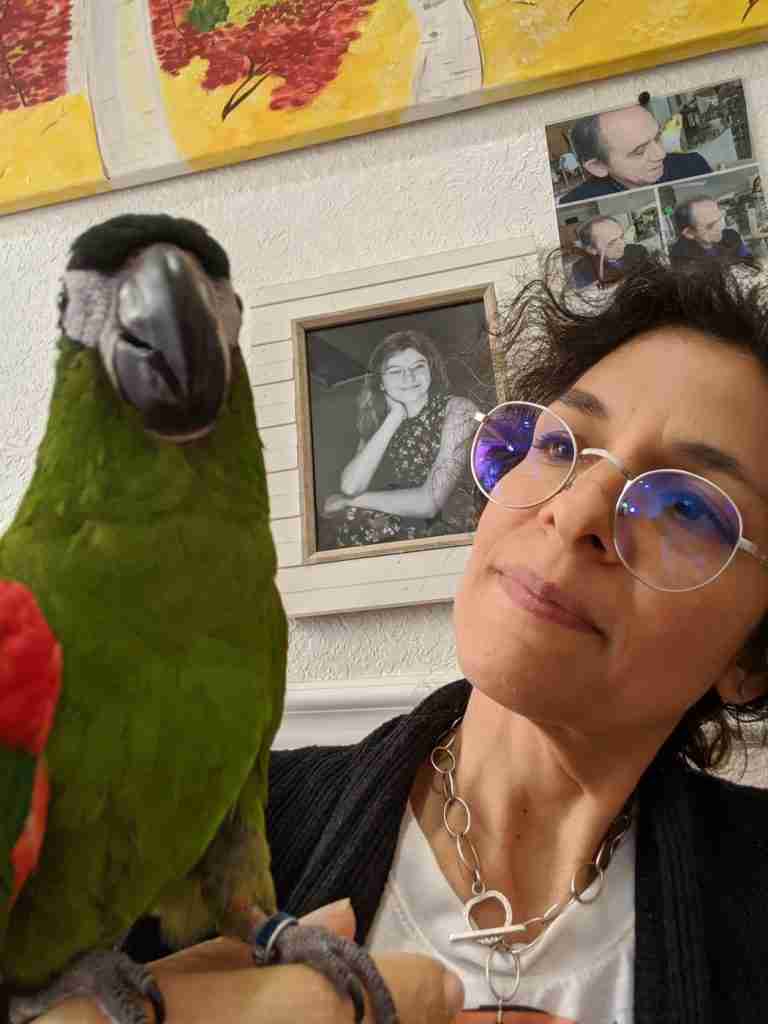 Parrot at the Blissful Sanctuary