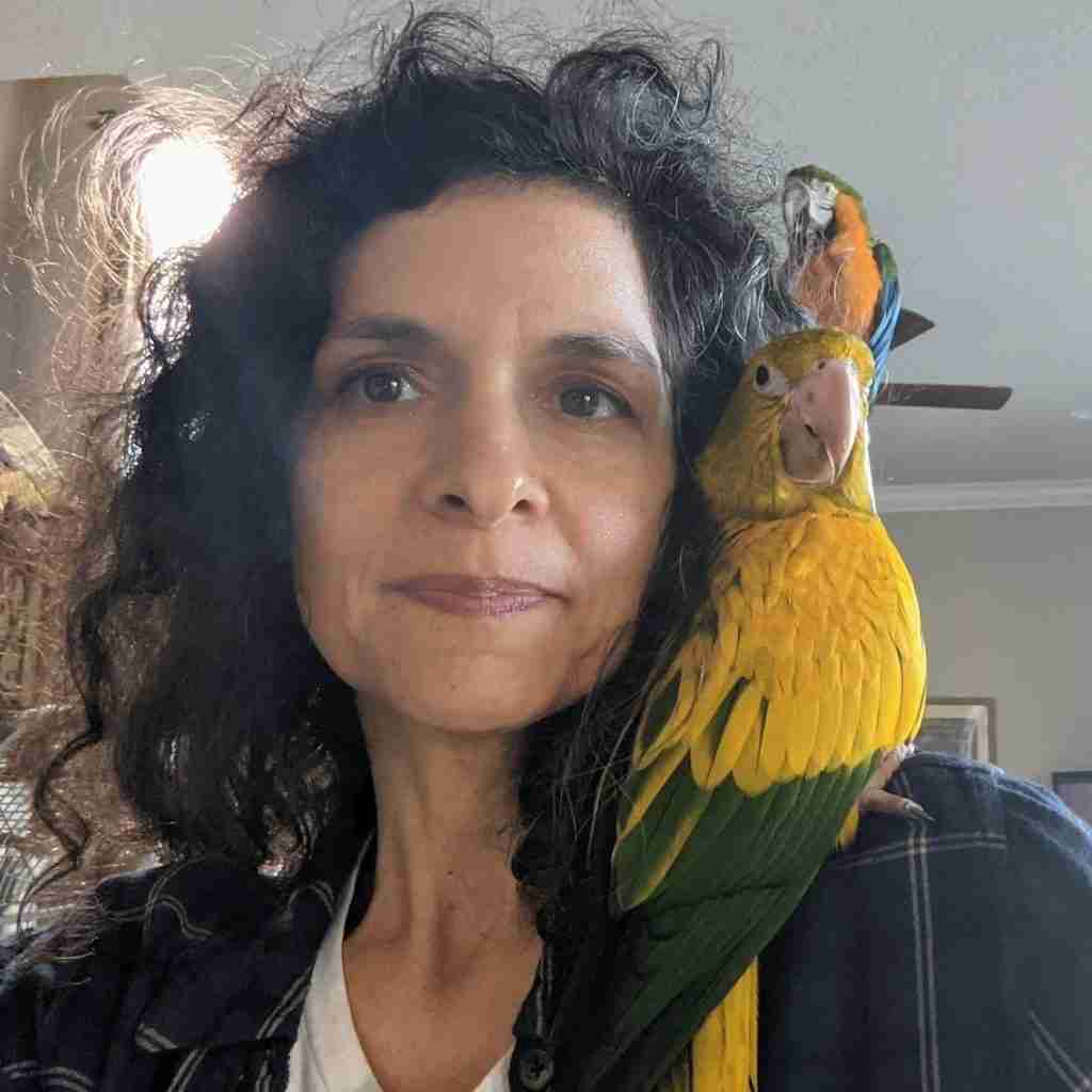 Parrot at the Blissful Sanctuary