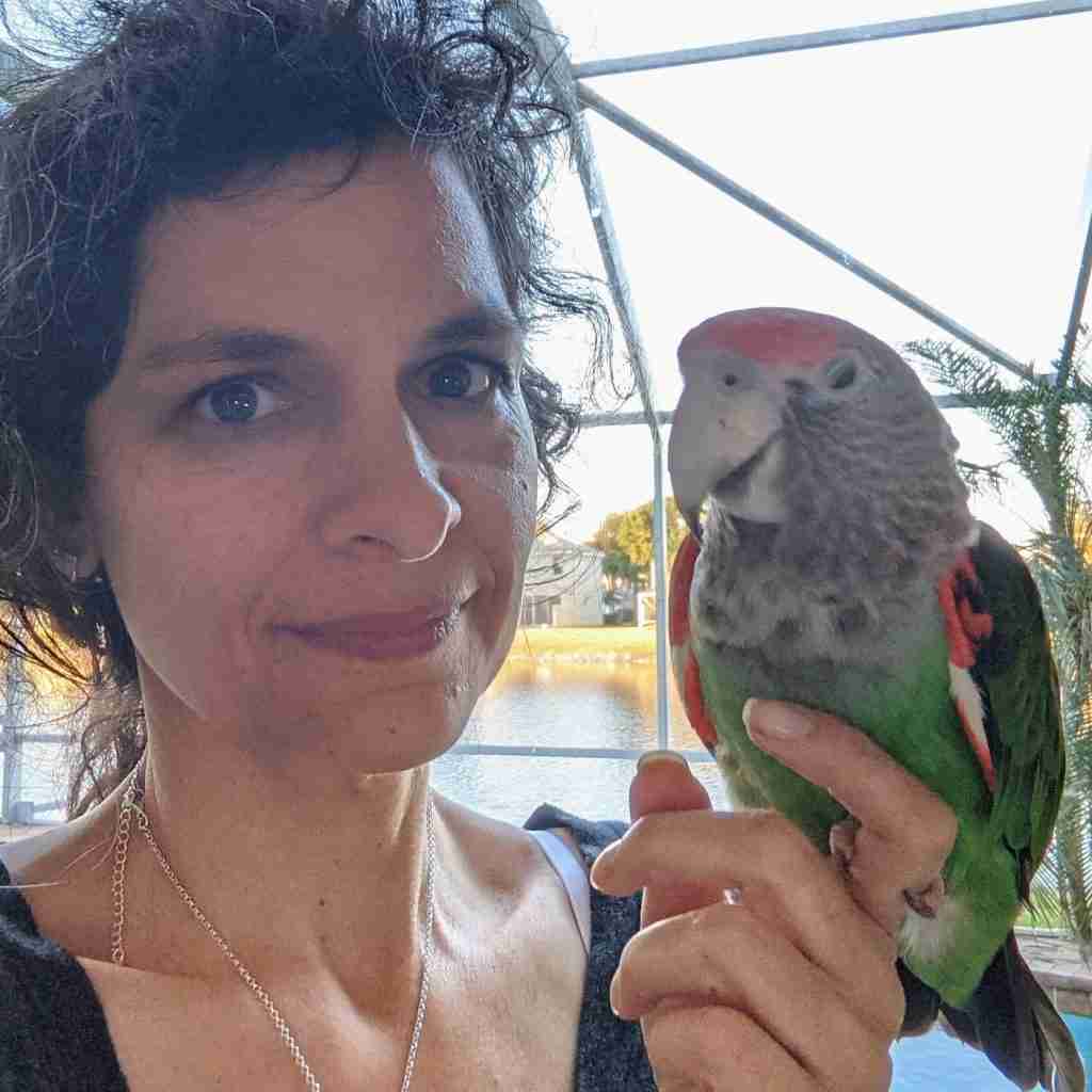 Parrot at the Blissful Sanctuary