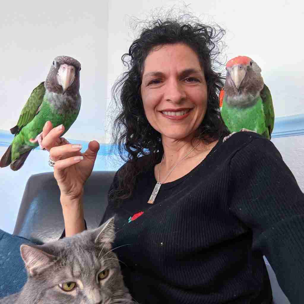 Parrot at the Blissful Sanctuary