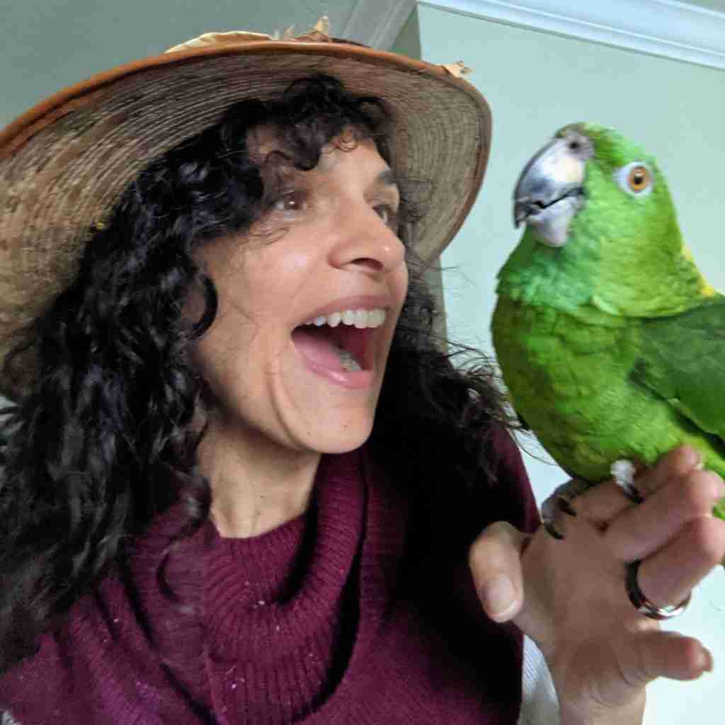 Parrot at the Blissful Sanctuary