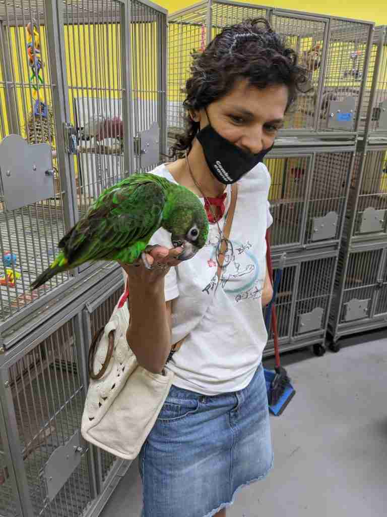 Parrot at the Blissful Sanctuary