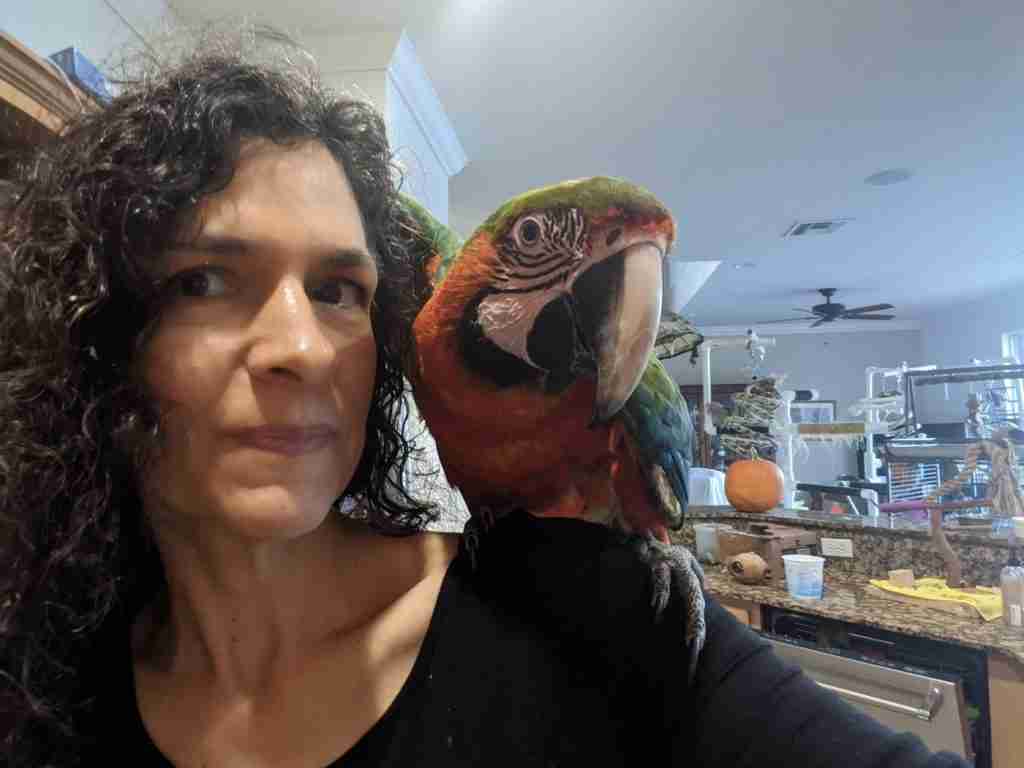 Parrot at the Blissful Sanctuary
