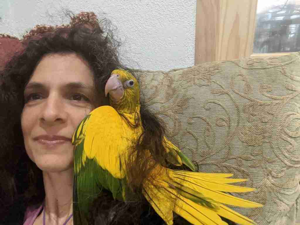 Parrot at the Blissful Sanctuary
