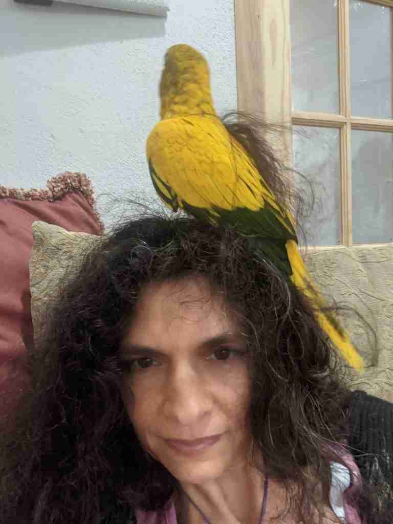 Parrot at the Blissful Sanctuary