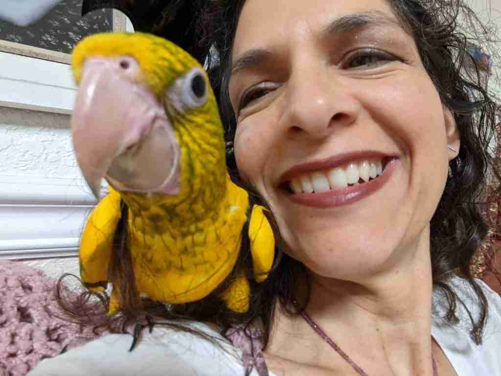 Parrot at the Blissful Sanctuary