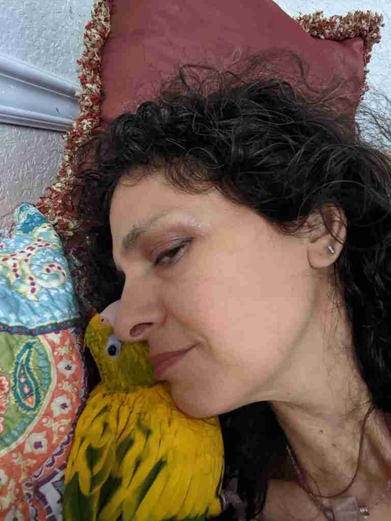 Parrot at the Blissful Sanctuary