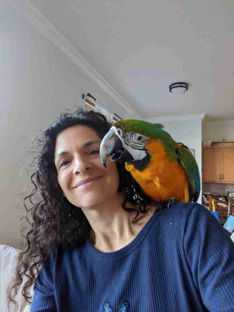 Parrot at the Blissful Sanctuary