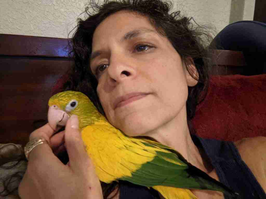 Parrot at the Blissful Sanctuary
