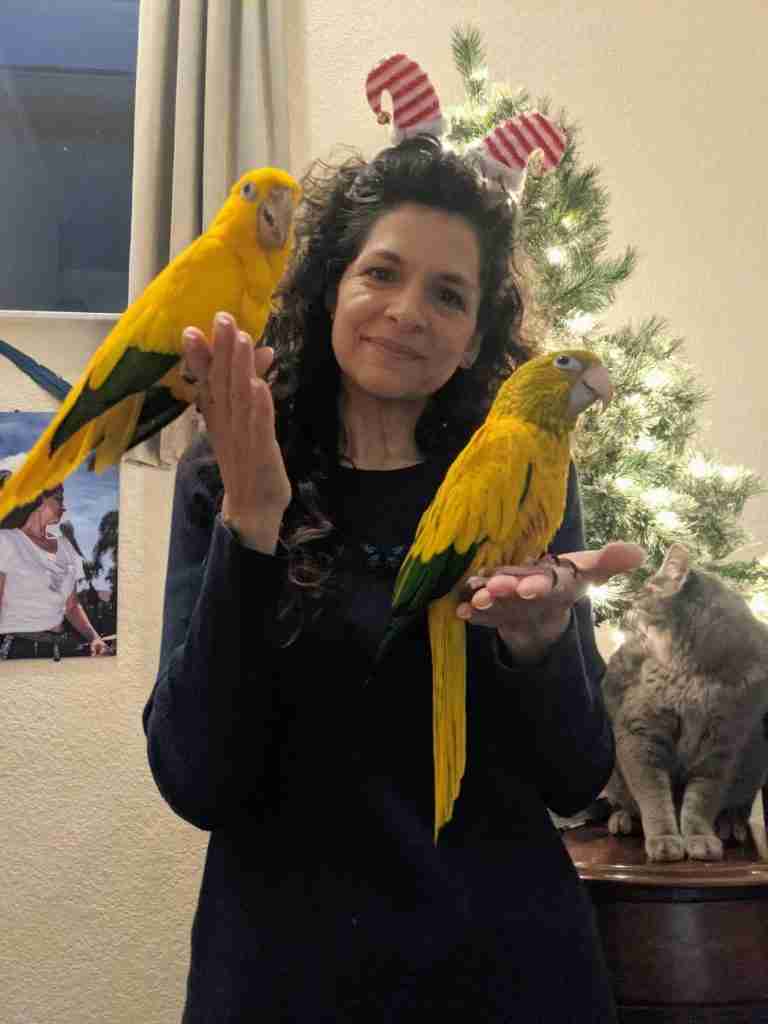 Parrot at the Blissful Sanctuary