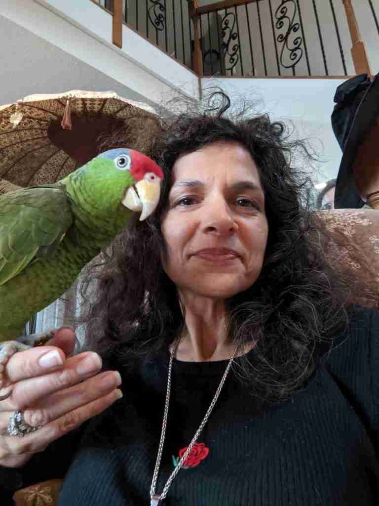 Parrot at the Blissful Sanctuary