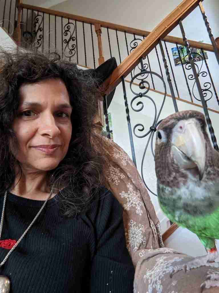 Parrot at the Blissful Sanctuary
