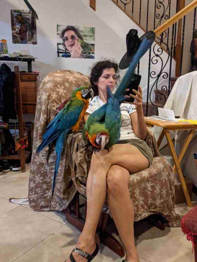 Parrot at the Blissful Sanctuary