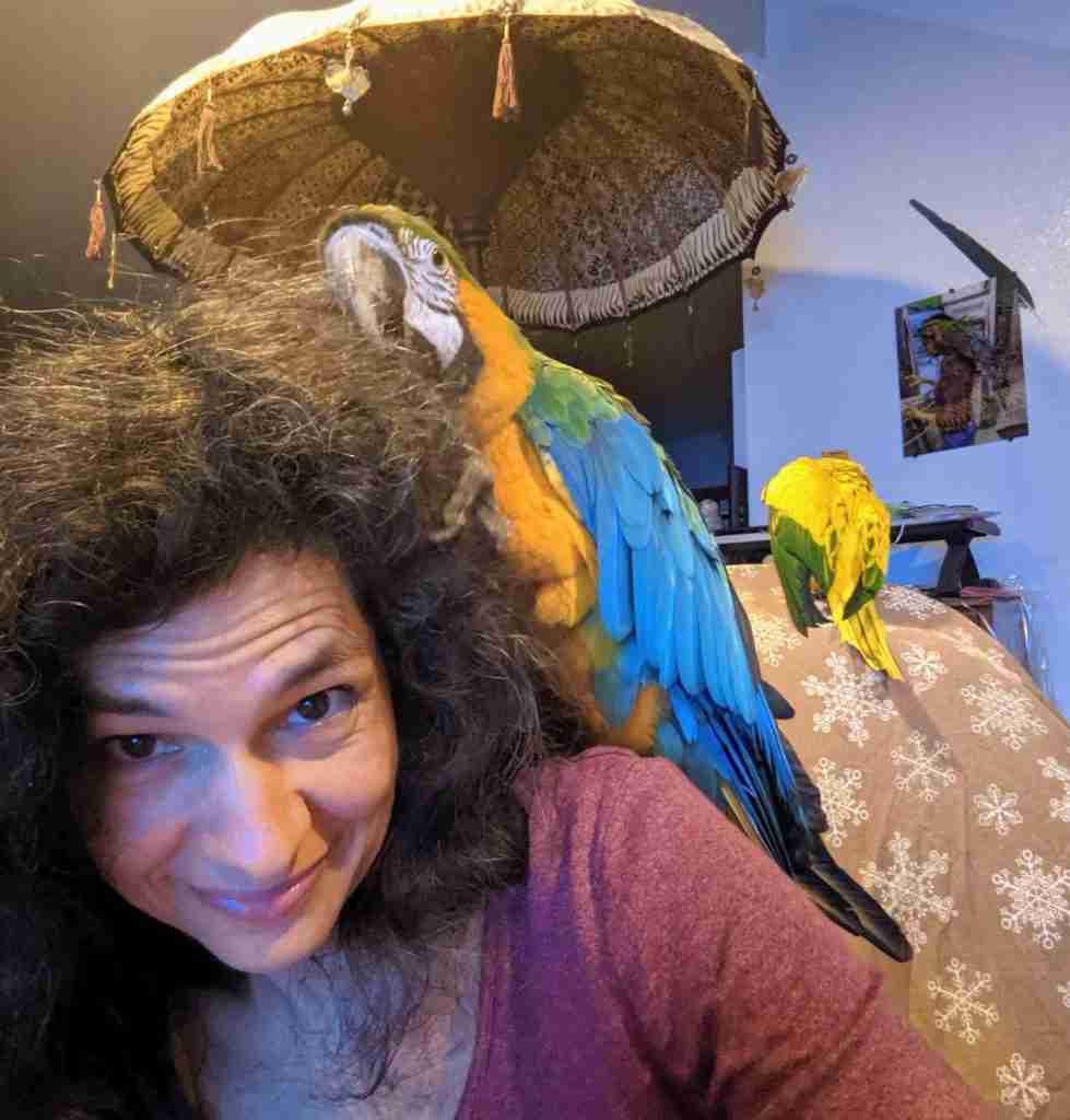 Parrot at the Blissful Sanctuary